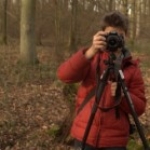 -andreasblpictures -